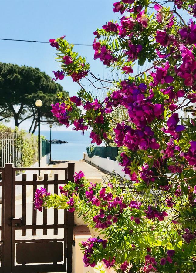 Villa Ro Porto Columbu - Perd'E Sali Bagian luar foto